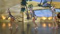 Lionking 0131
